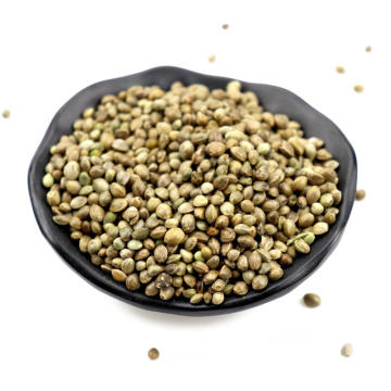 Hot selling hemp seed dry